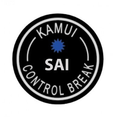 Kamui Break Billiard Cue Tip Sai 15mm | Hard