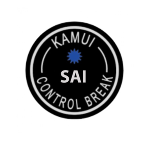 Kamui SAI Break Cue Tip – 15mm