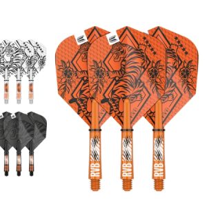 Target Raymond Van Barneveld Ink Flight & Shaft Kit Medium